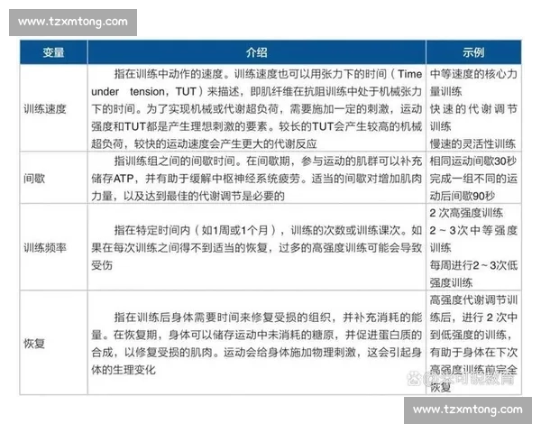 提升综合体育运动能力的科学方法与训练策略研究探索