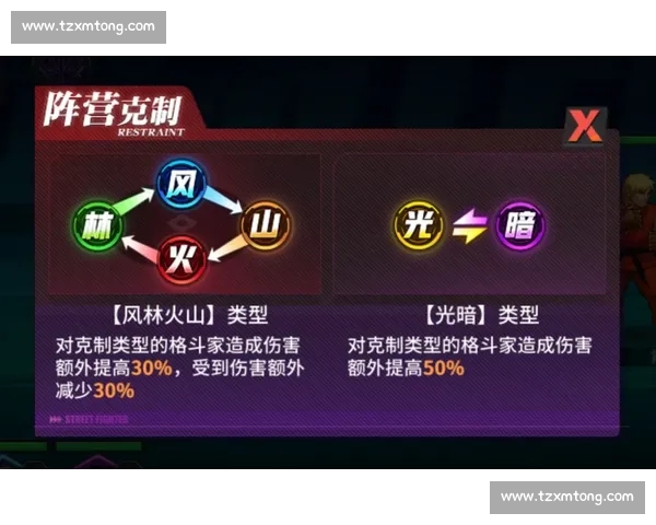 聚焦全球格斗巅峰对决WMC世界赛事全面解析与冠军之路深度观察
