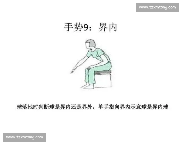 羽毛球比赛裁判手势解析与应用技巧全指南