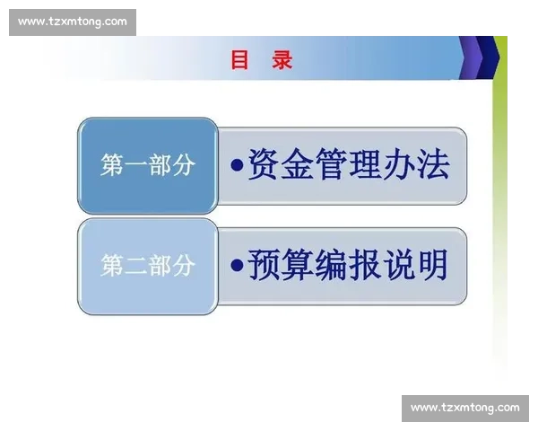 比赛活动预算规划与资金管理全流程策略分析方案 比赛活动预算规划与资金管理全流程策略分析方案