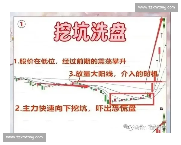炒股比赛实战解析 让你从新手变高手的必备技巧与策略 炒股比赛实战解析 让你从新手变高手的必备技巧与策略