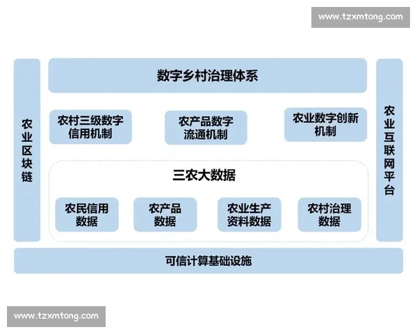 聚焦HTS比赛全景分析 深度探讨赛事规则策略与选手表现